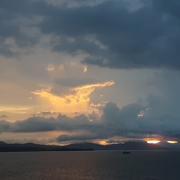 Meet your Posher, Larry - Picture 7 of 9